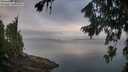 ./images/koeye/fitz-hugh/20260810/fitz-hugh20260810_071502M.jpg