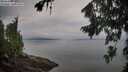 ./images/koeye/fitz-hugh/20260810/fitz-hugh20260810_074001M.jpg