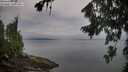 ./images/koeye/fitz-hugh/20260810/fitz-hugh20260810_074502M.jpg