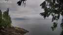 ./images/koeye/fitz-hugh/20260810/fitz-hugh20260810_075002M.jpg