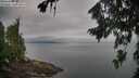 ./images/koeye/fitz-hugh/20260810/fitz-hugh20260810_080002M.jpg