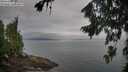 ./images/koeye/fitz-hugh/20260810/fitz-hugh20260810_080501M.jpg