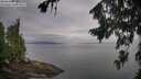 ./images/koeye/fitz-hugh/20260810/fitz-hugh20260810_081001M.jpg