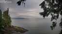 ./images/koeye/fitz-hugh/20260810/fitz-hugh20260810_081501M.jpg