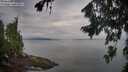 ./images/koeye/fitz-hugh/20260810/fitz-hugh20260810_082501M.jpg