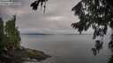 ./images/koeye/fitz-hugh/20260810/fitz-hugh20260810_083001M.jpg