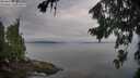 ./images/koeye/fitz-hugh/20260810/fitz-hugh20260810_083501M.jpg