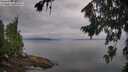 ./images/koeye/fitz-hugh/20260810/fitz-hugh20260810_084001M.jpg