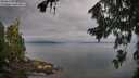 ./images/koeye/fitz-hugh/20260810/fitz-hugh20260810_084502M.jpg