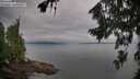 ./images/koeye/fitz-hugh/20260810/fitz-hugh20260810_085001M.jpg
