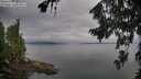 ./images/koeye/fitz-hugh/20260810/fitz-hugh20260810_085501M.jpg