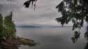 ./images/koeye/fitz-hugh/20260810/fitz-hugh20260810_090002M.jpg