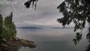 ./images/koeye/fitz-hugh/20260810/fitz-hugh20260810_090501M.jpg