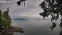 ./images/koeye/fitz-hugh/20260810/fitz-hugh20260810_091001M.jpg