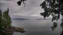./images/koeye/fitz-hugh/20260810/fitz-hugh20260810_091501M.jpg