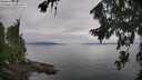 ./images/koeye/fitz-hugh/20260810/fitz-hugh20260810_092001M.jpg