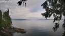 ./images/koeye/fitz-hugh/20260810/fitz-hugh20260810_093501M.jpg