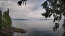 ./images/koeye/fitz-hugh/20260810/fitz-hugh20260810_094001M.jpg