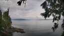 ./images/koeye/fitz-hugh/20260810/fitz-hugh20260810_095001M.jpg
