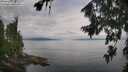 ./images/koeye/fitz-hugh/20260810/fitz-hugh20260810_095501M.jpg