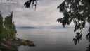 ./images/koeye/fitz-hugh/20260810/fitz-hugh20260810_100002M.jpg