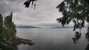 ./images/koeye/fitz-hugh/20260810/fitz-hugh20260810_102501M.jpg