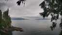 ./images/koeye/fitz-hugh/20260810/fitz-hugh20260810_103001M.jpg