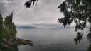 ./images/koeye/fitz-hugh/20260810/fitz-hugh20260810_103501M.jpg