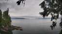 ./images/koeye/fitz-hugh/20260810/fitz-hugh20260810_105001M.jpg