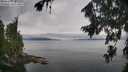 ./images/koeye/fitz-hugh/20260810/fitz-hugh20260810_105501M.jpg