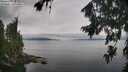 ./images/koeye/fitz-hugh/20260810/fitz-hugh20260810_110002M.jpg