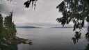 ./images/koeye/fitz-hugh/20260810/fitz-hugh20260810_111001M.jpg