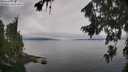 ./images/koeye/fitz-hugh/20260810/fitz-hugh20260810_111501M.jpg