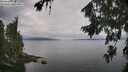 ./images/koeye/fitz-hugh/20260810/fitz-hugh20260810_112001M.jpg