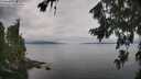 ./images/koeye/fitz-hugh/20260810/fitz-hugh20260810_112502M.jpg