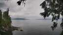 ./images/koeye/fitz-hugh/20260810/fitz-hugh20260810_113001M.jpg