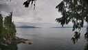 ./images/koeye/fitz-hugh/20260810/fitz-hugh20260810_113501M.jpg