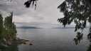 ./images/koeye/fitz-hugh/20260810/fitz-hugh20260810_114002M.jpg