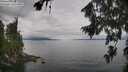 ./images/koeye/fitz-hugh/20260810/fitz-hugh20260810_115001M.jpg