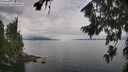 ./images/koeye/fitz-hugh/20260810/fitz-hugh20260810_115501M.jpg