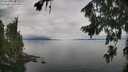 ./images/koeye/fitz-hugh/20260810/fitz-hugh20260810_121001M.jpg
