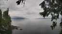 ./images/koeye/fitz-hugh/20260810/fitz-hugh20260810_122001M.jpg