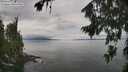 ./images/koeye/fitz-hugh/20260810/fitz-hugh20260810_122501M.jpg