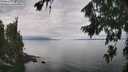 ./images/koeye/fitz-hugh/20260810/fitz-hugh20260810_123501M.jpg