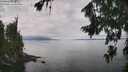 ./images/koeye/fitz-hugh/20260810/fitz-hugh20260810_124001M.jpg