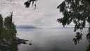 ./images/koeye/fitz-hugh/20260810/fitz-hugh20260810_124501M.jpg