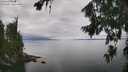 ./images/koeye/fitz-hugh/20260810/fitz-hugh20260810_130002M.jpg