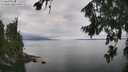 ./images/koeye/fitz-hugh/20260810/fitz-hugh20260810_130501M.jpg