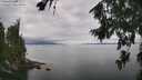 ./images/koeye/fitz-hugh/20260810/fitz-hugh20260810_131001M.jpg