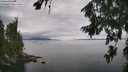 ./images/koeye/fitz-hugh/20260810/fitz-hugh20260810_132001M.jpg